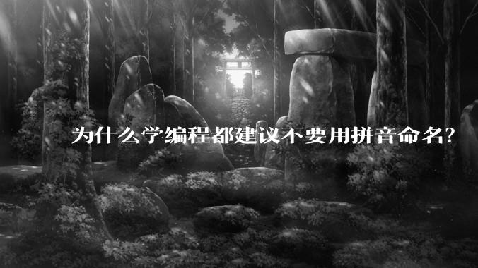 为什么学编程都建议不要用拼音命名？