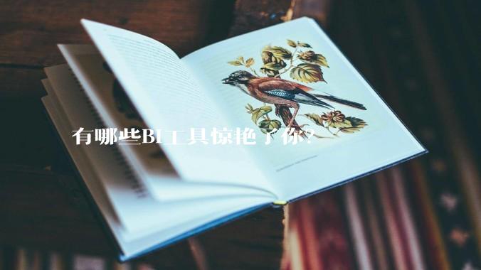 有哪些BI工具惊艳了你？
