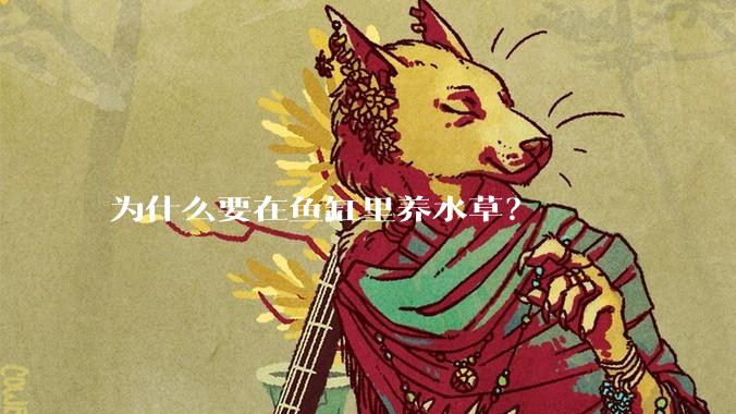 为什么要在鱼缸里养水草？