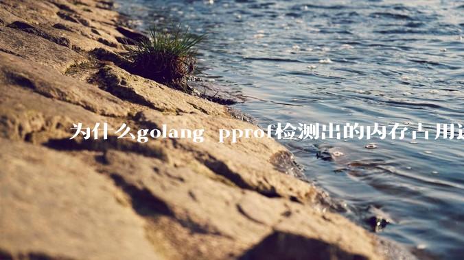 为什么golang pprof检测出的内存占用远小于top命令查看到的内存占用量？